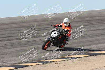 media/Oct-13-2025-Moto Forza (Mon) [[a66d839500]]/4-C Group/Session 2 (Bowl)/